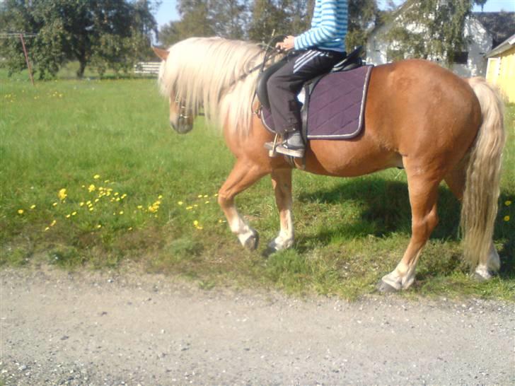 Søde partner billede 17