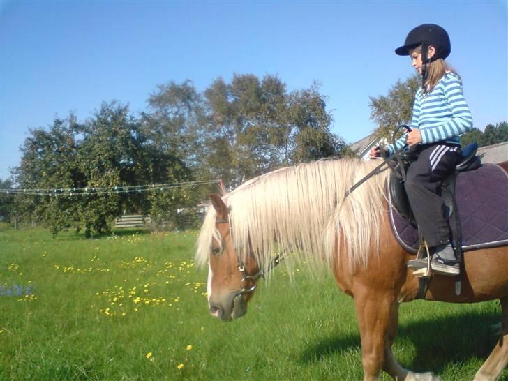 Søde partner billede 18