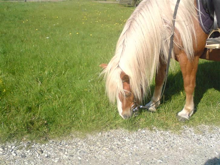 Søde partner billede 20