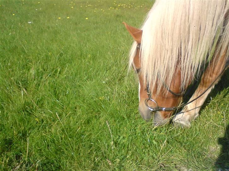 Søde partner billede 21