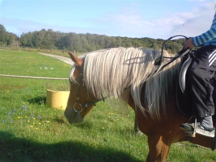 Søde partner billede 22