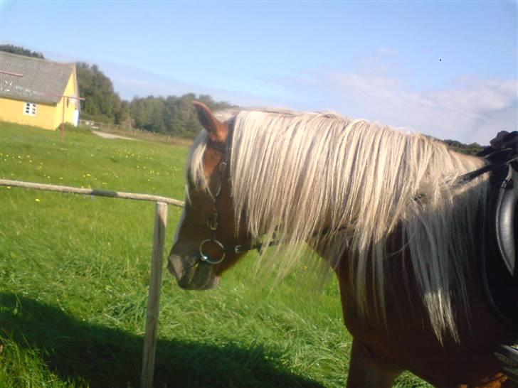 Søde partner billede 23