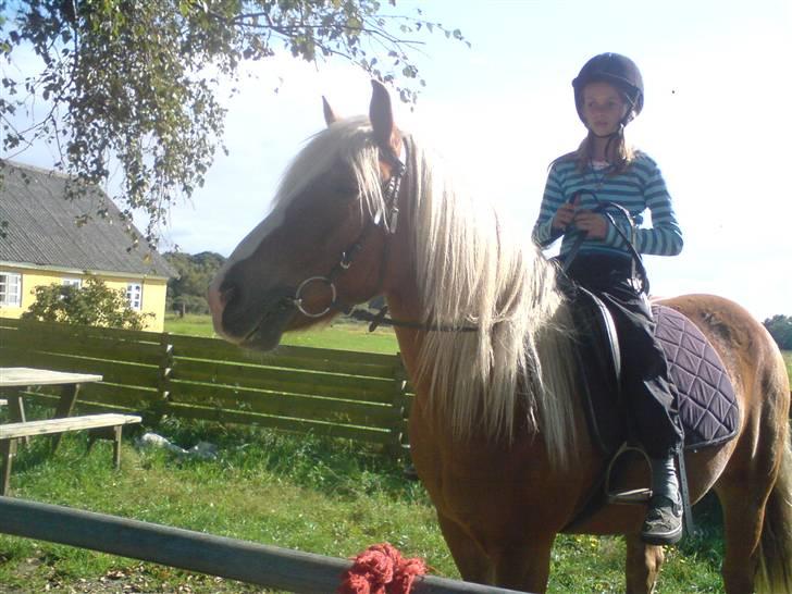 Søde partner billede 25