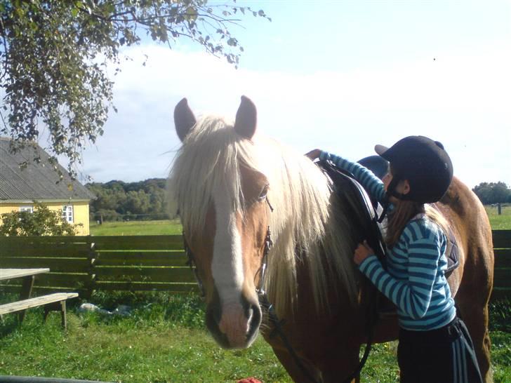 Søde partner billede 26