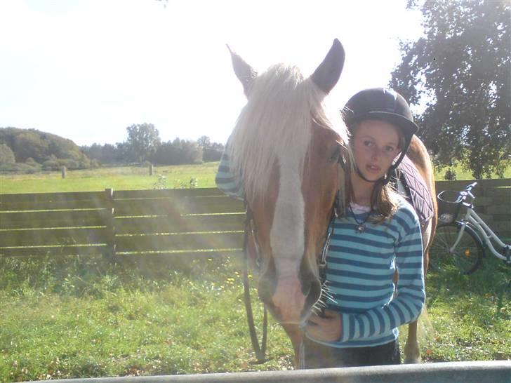 Søde partner billede 27