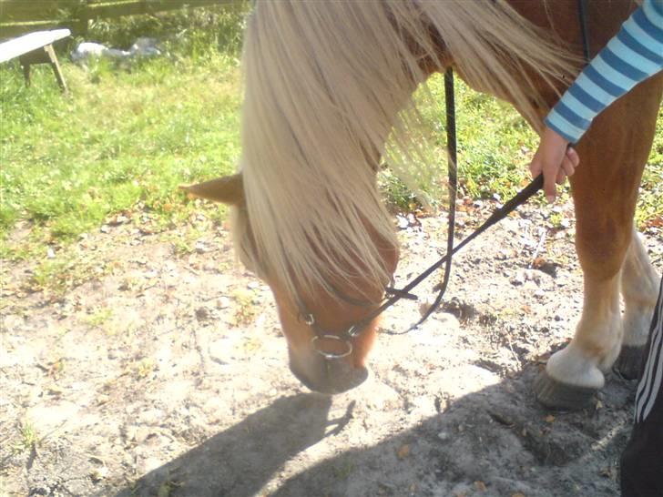 Søde partner billede 28