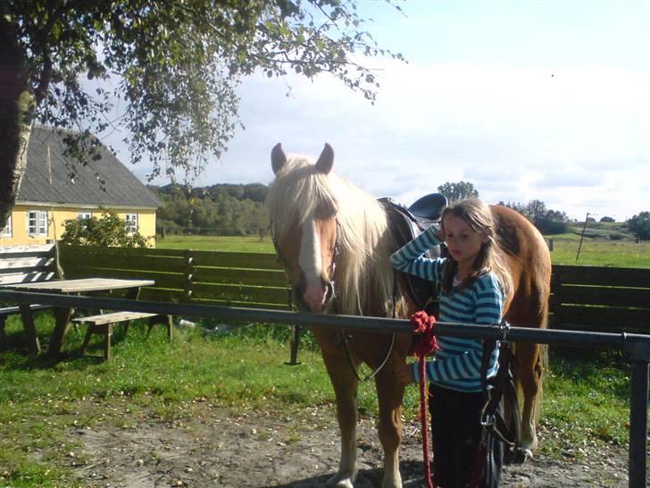 Søde partner billede 29