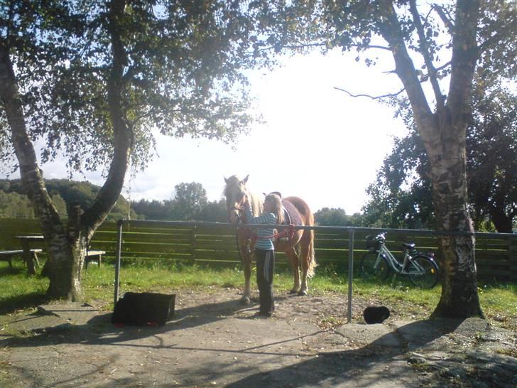 Søde partner billede 30