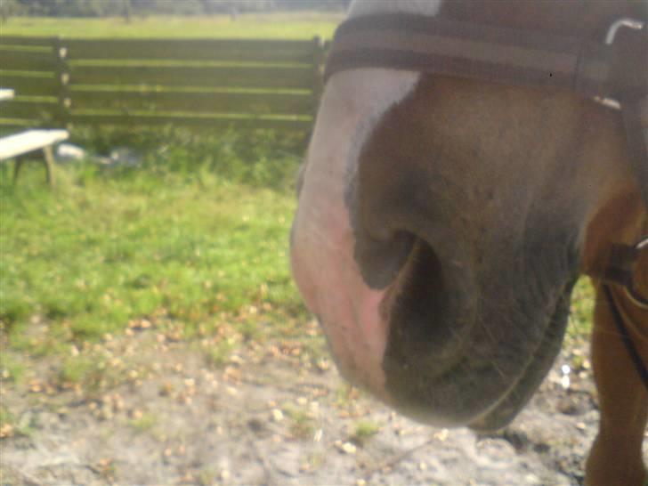 Søde partner billede 32