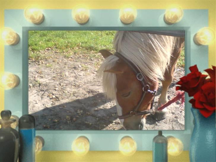 Søde partner billede 35