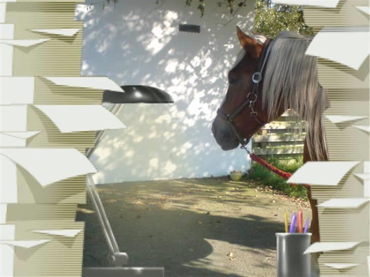 Søde partner billede 36