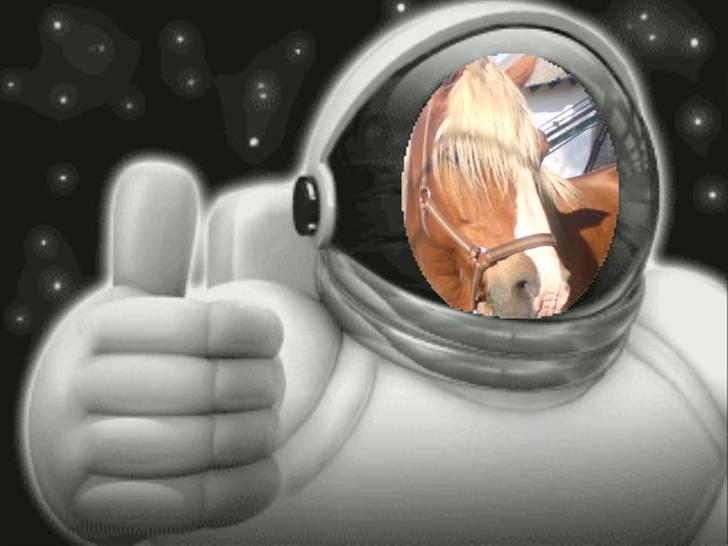 Søde partner billede 37