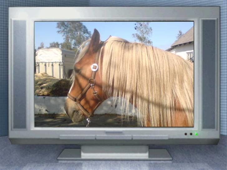 Søde partner billede 38