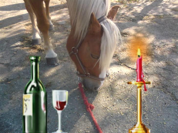 Søde partner billede 41