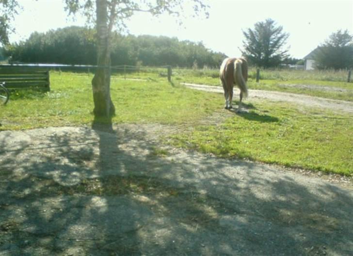 Søde partner billede 44