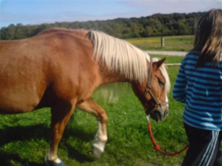 Søde partner billede 45