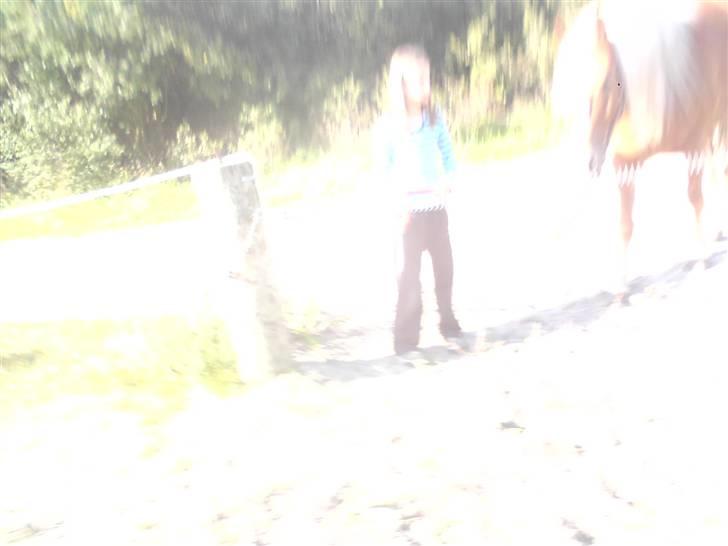 Søde partner billede 46