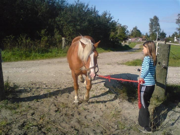 Søde partner billede 47