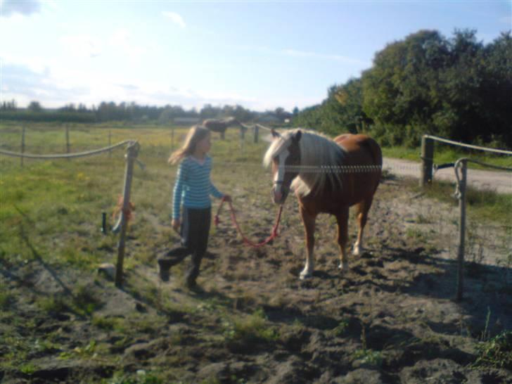 Søde partner billede 48