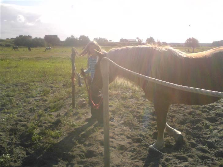 Søde partner billede 49