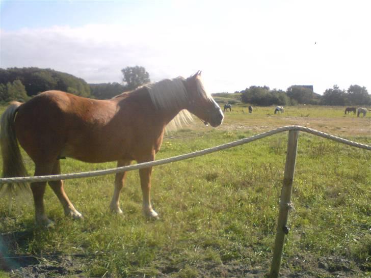 Søde partner billede 50