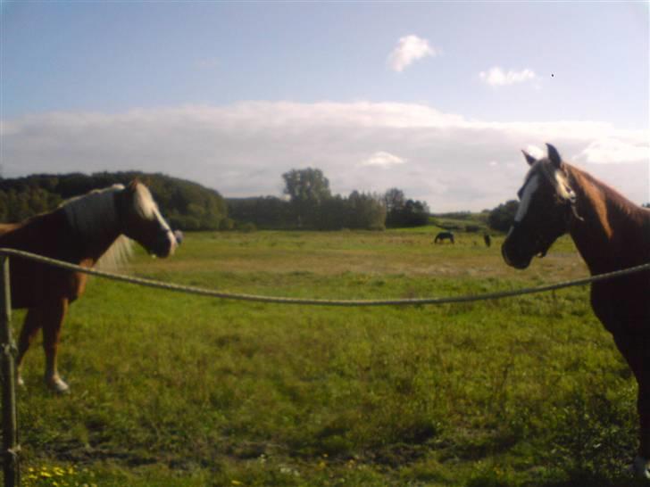 Søde partner billede 51