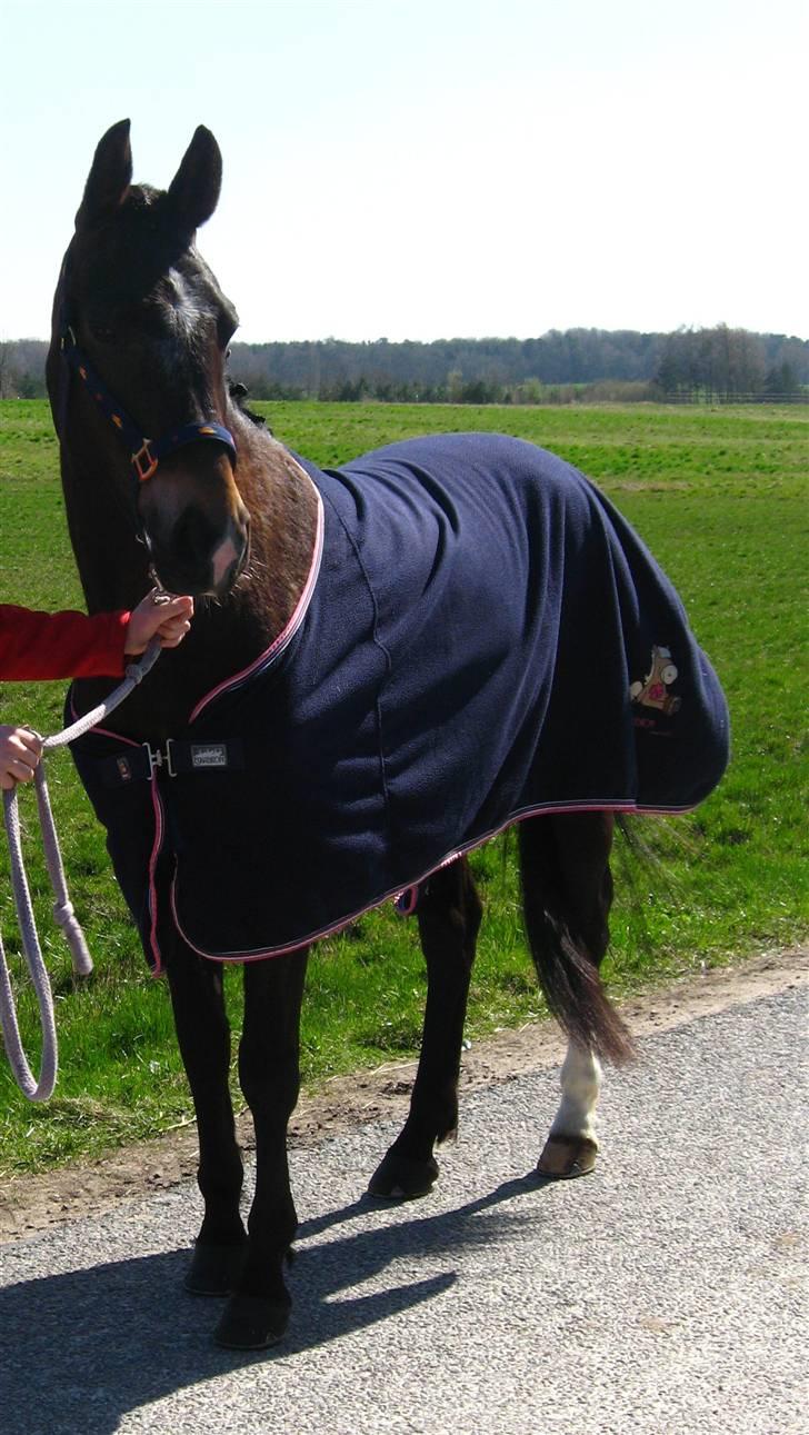 Elmholts Education, SNR, første LA3. billede 1