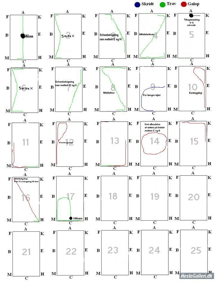 Dressur programmer - La1 B billede 4