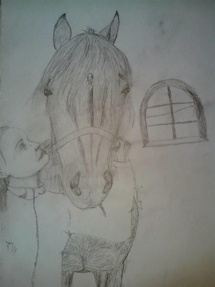 Tegninger - En tegning til Louise herinde fra af hendes hoppe Freja. Lavet den 9 april 2009. Desværre blev billedet ikke så godt da jeg lage det herind billede 9