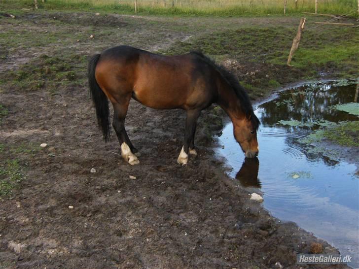 Konkurance billede 1