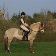 Lidt forskellige spring på hestene.