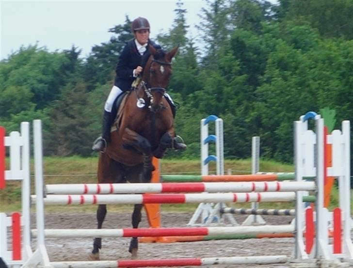 Udvidet Klubstævne Birken - Shiba Spudalshøj - Julie Kattenhøj
LC spring billede 8