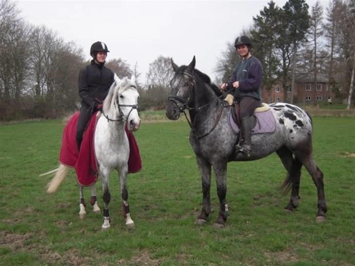 Billeder fra Malling Landbrugs skole. billede 1
