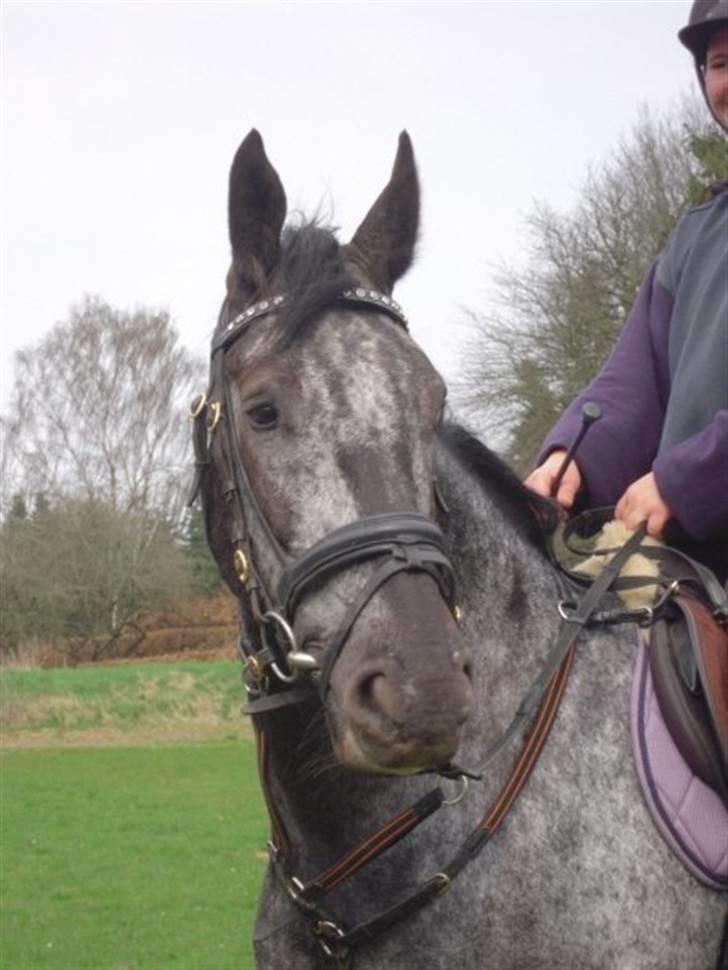 Billeder fra Malling Landbrugs skole. billede 2