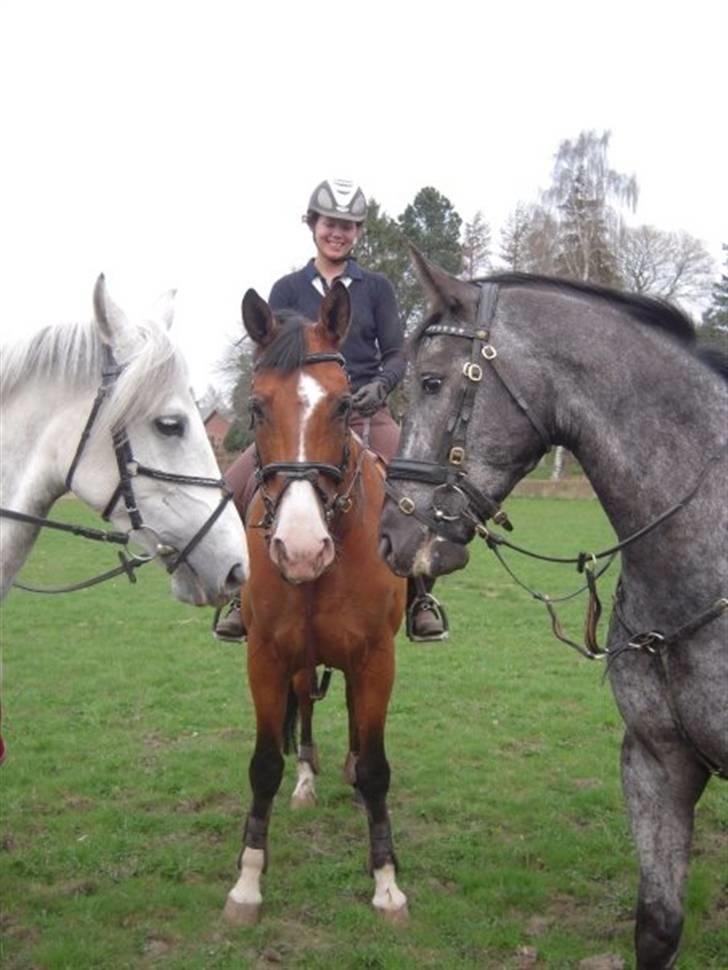 Billeder fra Malling Landbrugs skole. billede 3