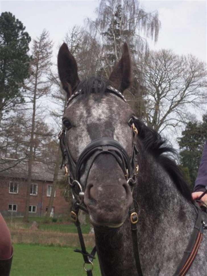 Billeder fra Malling Landbrugs skole. billede 4
