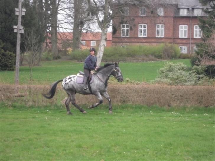 Billeder fra Malling Landbrugs skole. billede 6