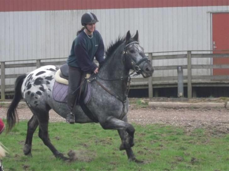 Billeder fra Malling Landbrugs skole. billede 7