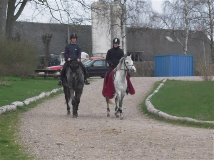 Billeder fra Malling Landbrugs skole. billede 8