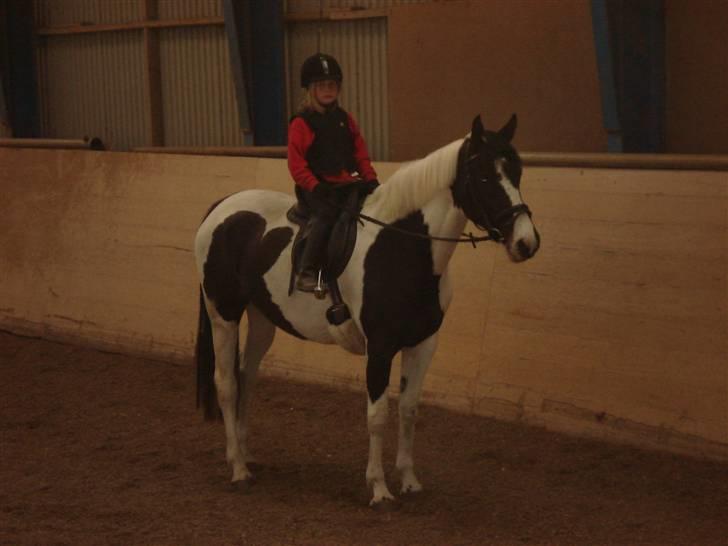 Mie med givea og snehvide billede 3