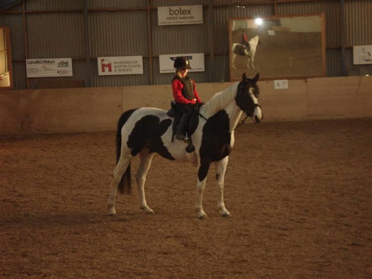 Mie med givea og snehvide billede 5