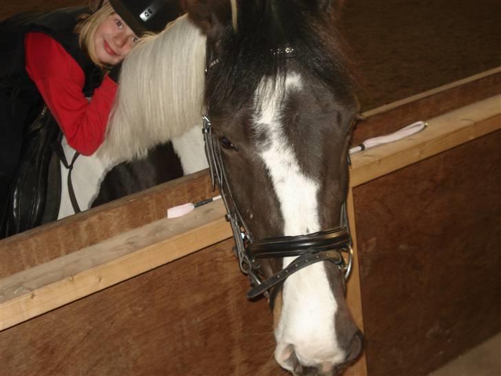 Mie med givea og snehvide - Ren hygge billede 6