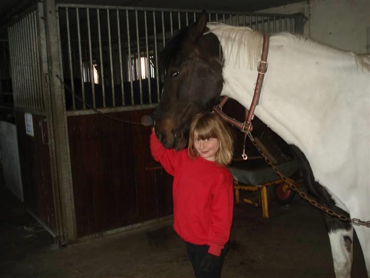 Mie med givea og snehvide - Er super glad efter en rigtig god ridetur billede 7