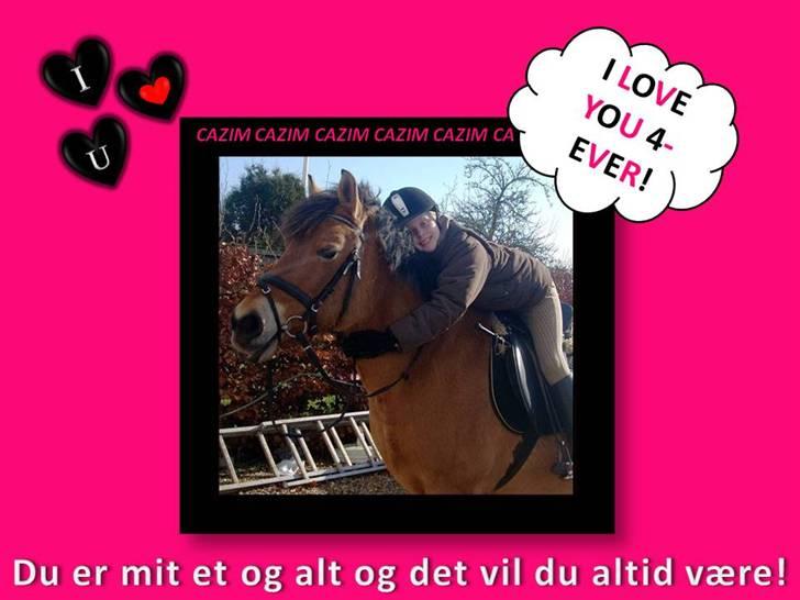 Tegninger, Print Screen osv. xD - Til Christina og Cazim! Håber du kan lide det!? billede 4