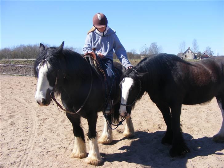 Min western pakhest :D billede 7