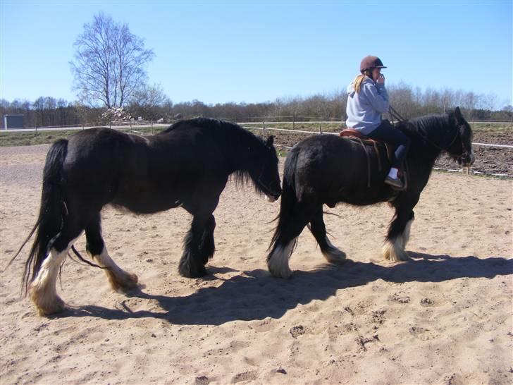 Min western pakhest :D billede 9