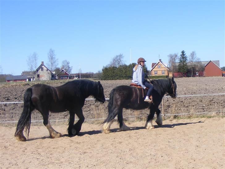 Min western pakhest :D billede 10