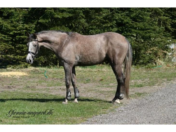 {{currentPhoto.altText}} billede {{currentPhoto.number}}