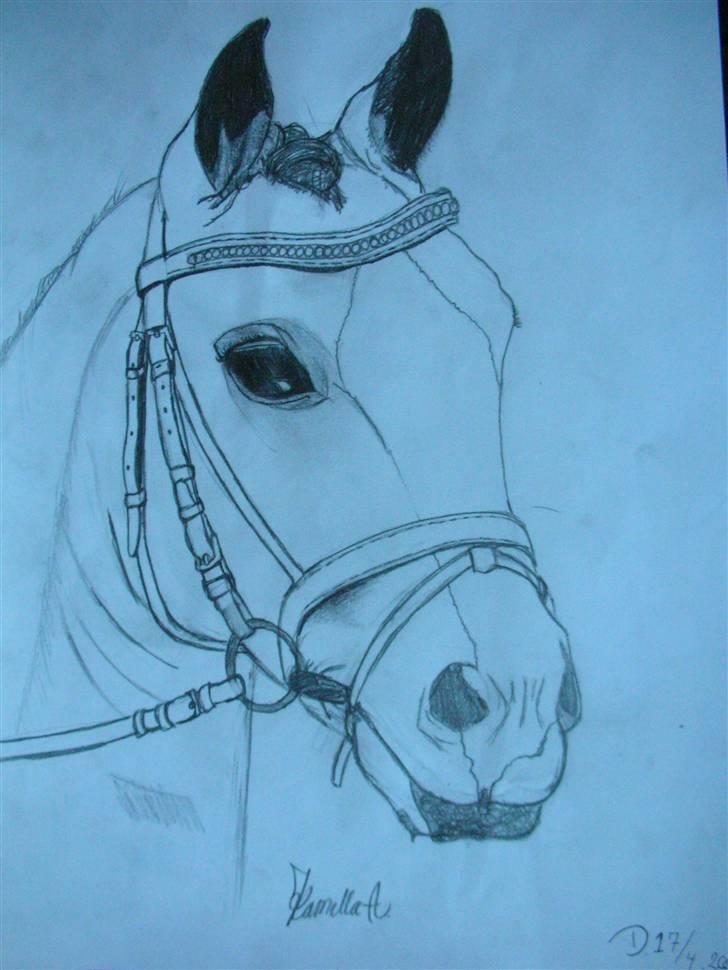 Tegninger af heste og venner - Anden særlig Race- Felix billede 5