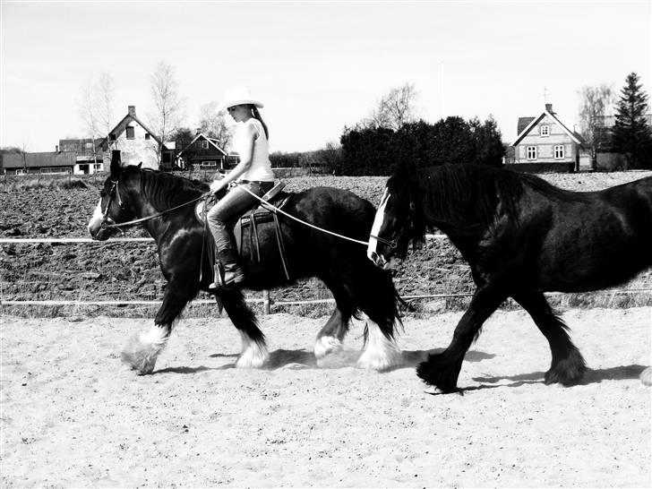 Min western pakhest :D - Anden gang vi prøver det her :) billede 12